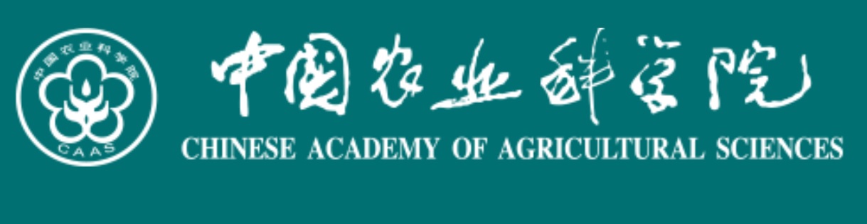 審計(jì)服務(wù)